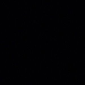 Meet your Posher, Raphael